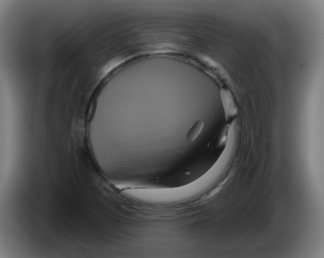 X0000086221457200704261827