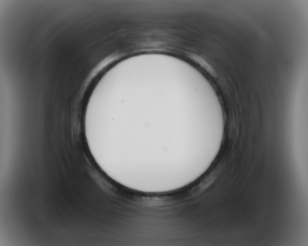 X0000086221458200704261827