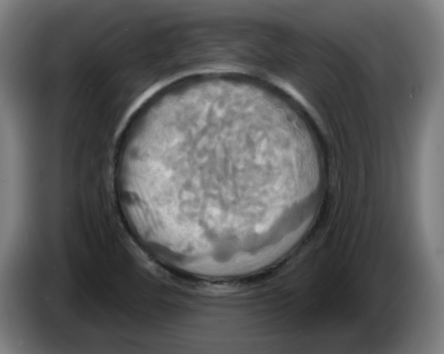 X0000086221460200704261826