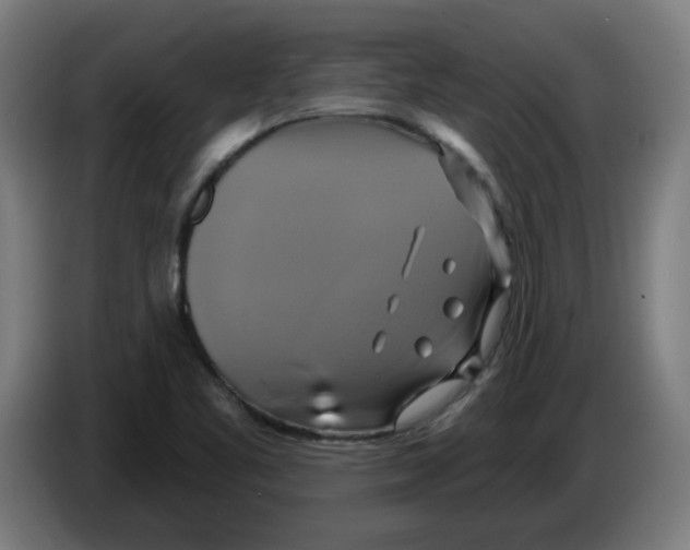 X0000086221461200704261826