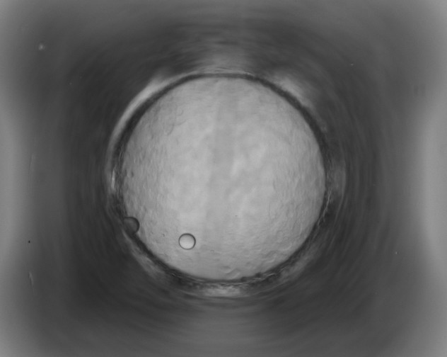 X0000086221462200704261826