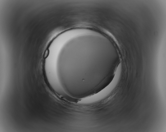 X0000086221463200704261826