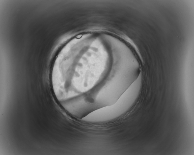 X0000086221464200704261826