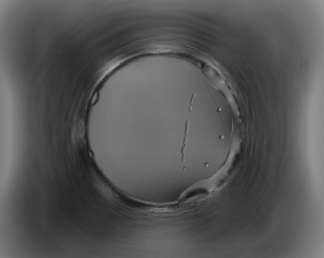 X0000086221465200704261826