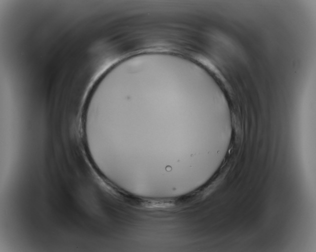 X0000086221466200704261826