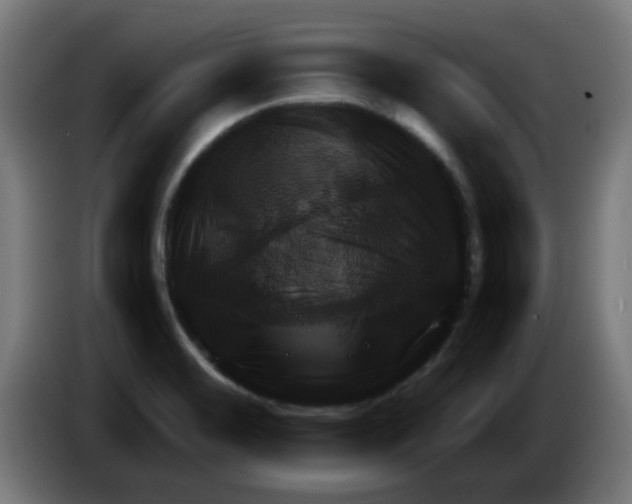 X0000086221468200704261826