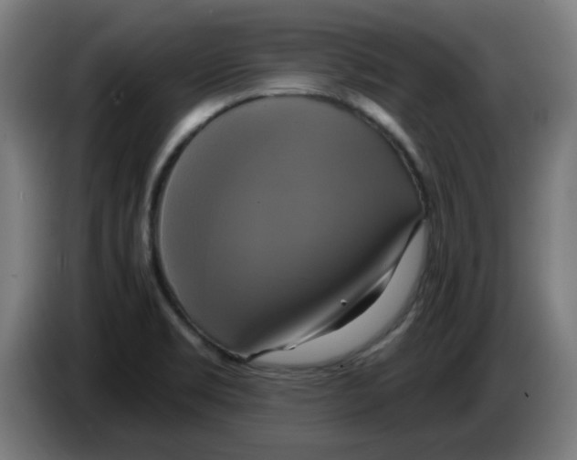 X0000086221469200704261826