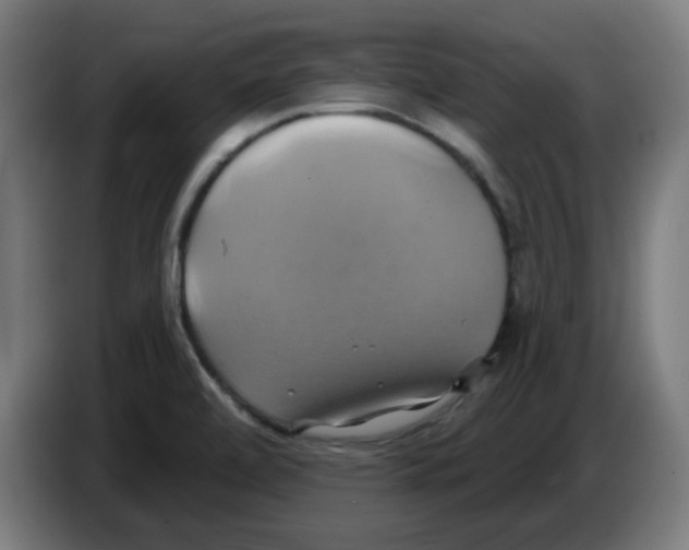 X0000086221472200704261826