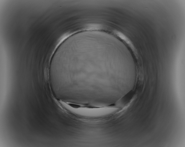 X0000086221473200704261826