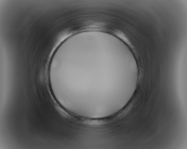 X0000086221474200704261826