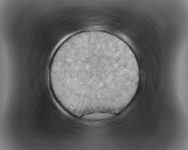 X0000086221476200704261826