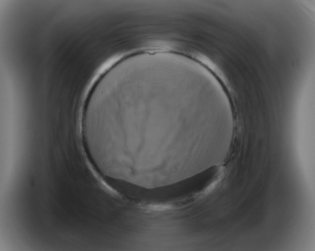 X0000086221477200704261826