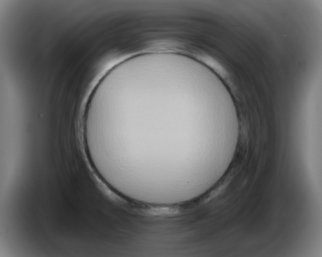 X0000086221478200704261826