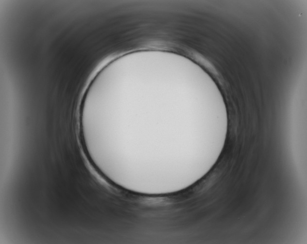 X0000086221479200704261826