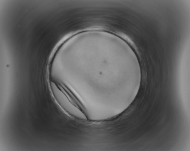 X0000086221480200704261826