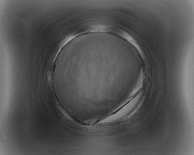 X0000086221481200704261826