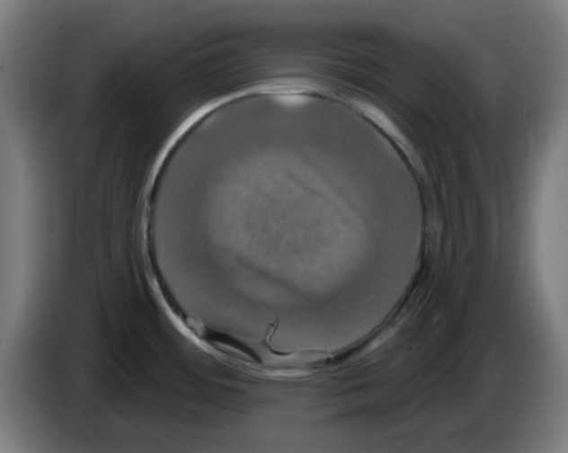 X0000086221484200704261826