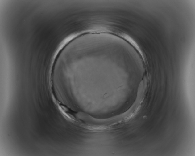 X0000086221485200704261826