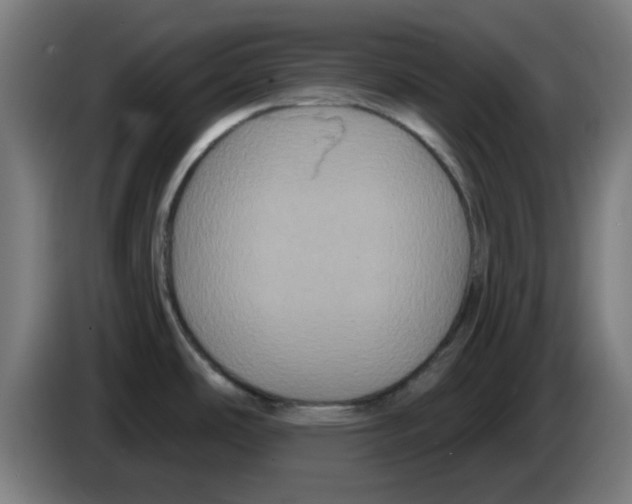 X0000086221486200704261826