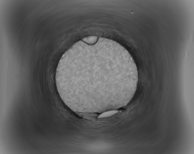 X0000086221489200704261826