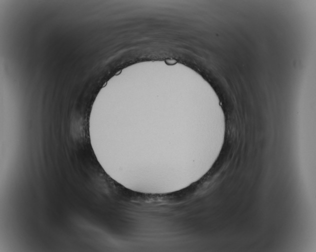 X0000086221490200704261826