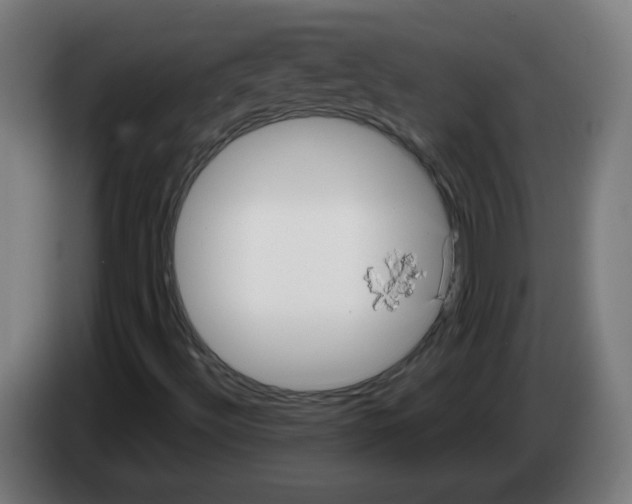 X0000086221492200704261826