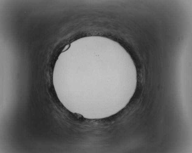 X0000086221493200704261826