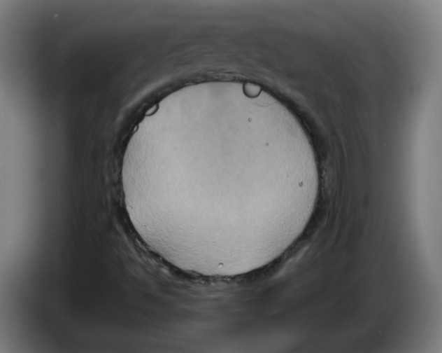 X0000086221494200704261826