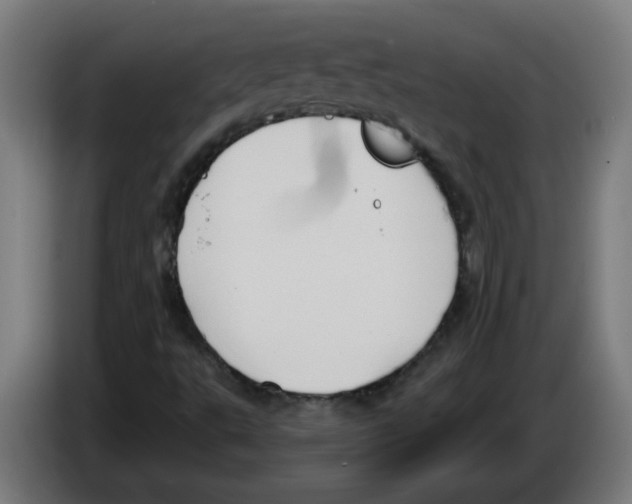 X0000086221495200704261826