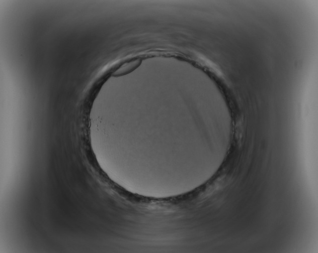 X0000086221496200704261826