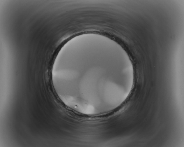 X0000086221497200704261826