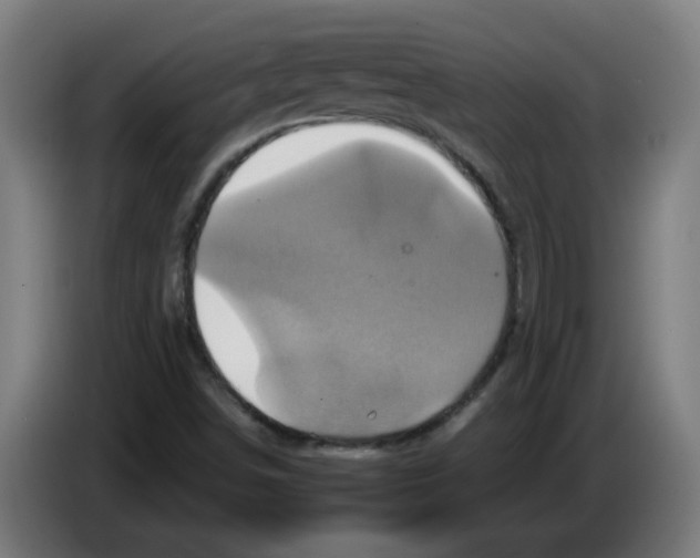 X0000086221498200704261826