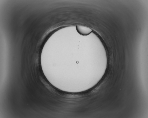 X0000086221499200704261826