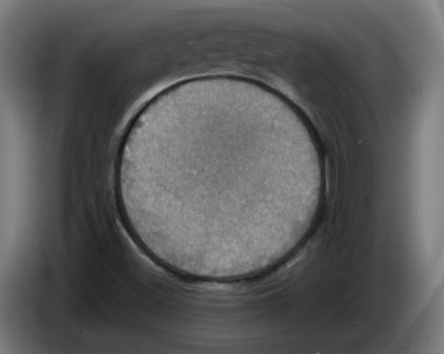 X0000086221500200704261826