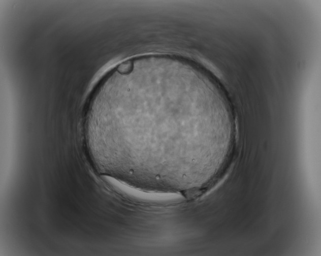 X0000086221501200704261826