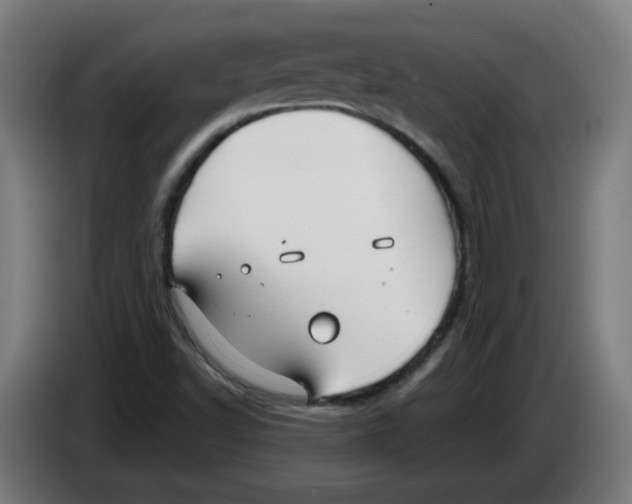 X0000086221502200704261826