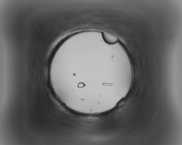 X0000086221503200704261826