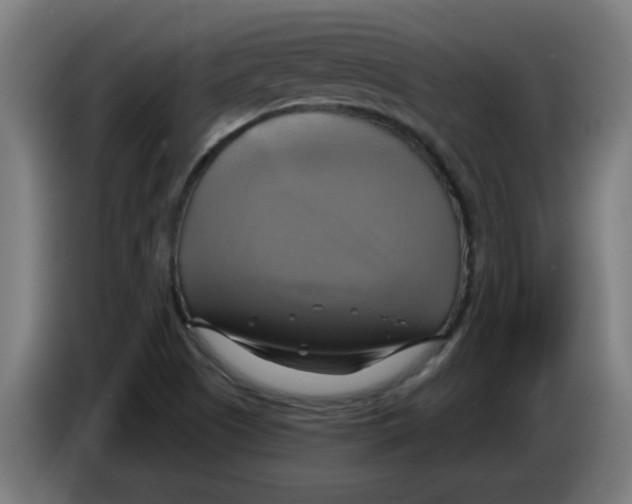 X0000086221505200704261826