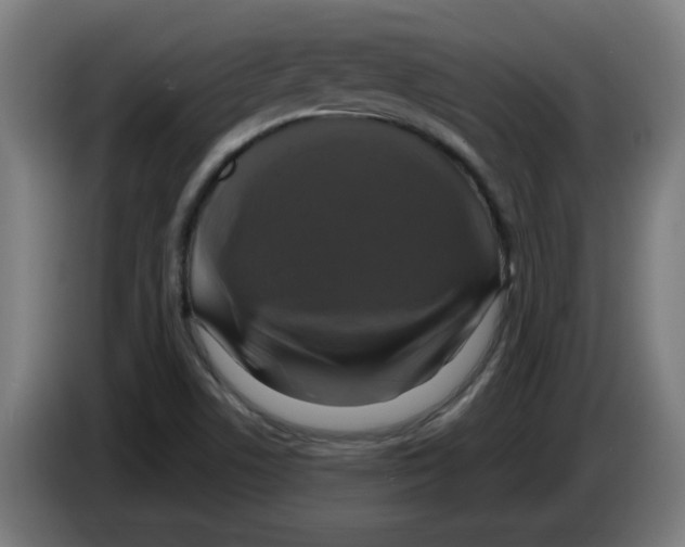 X0000086221506200704261826