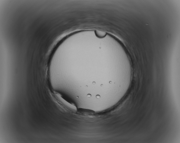 X0000086221507200704261826