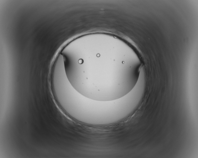 X0000086221508200704261826