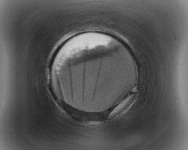 X0000086221509200704261826