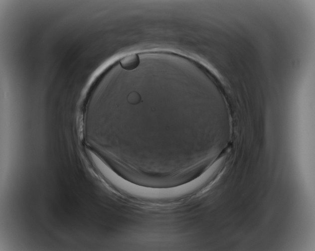 X0000086221510200704261826