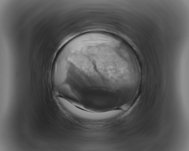 X0000086221513200704261826