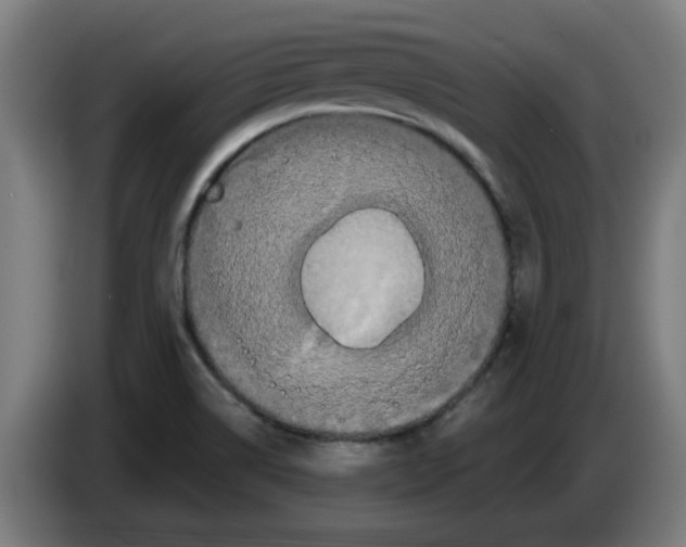 X0000086221514200704261826