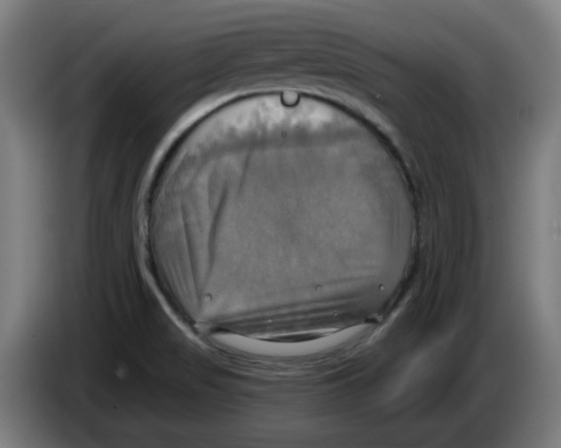 X0000086221517200704261826