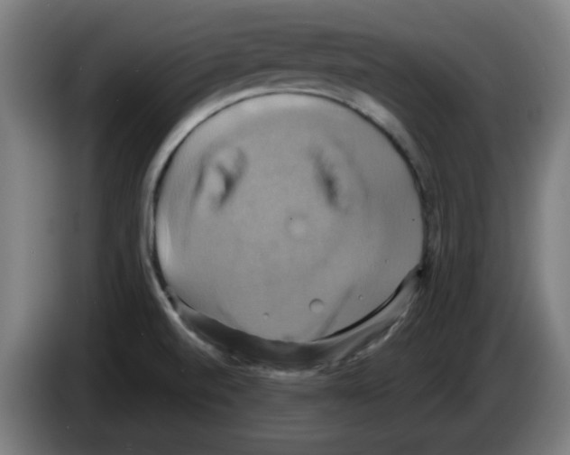 X0000086221520200704261826