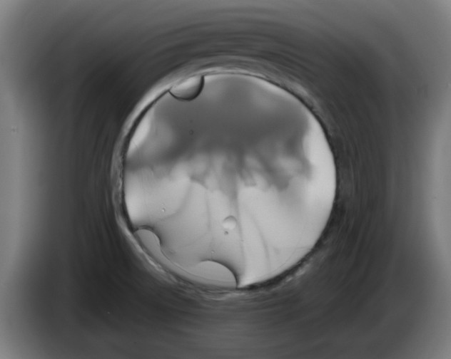 X0000086221522200704261826