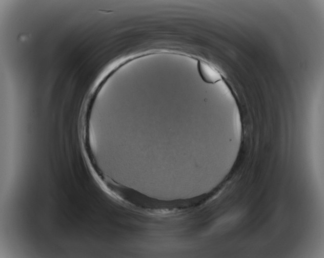 X0000086221523200704261826