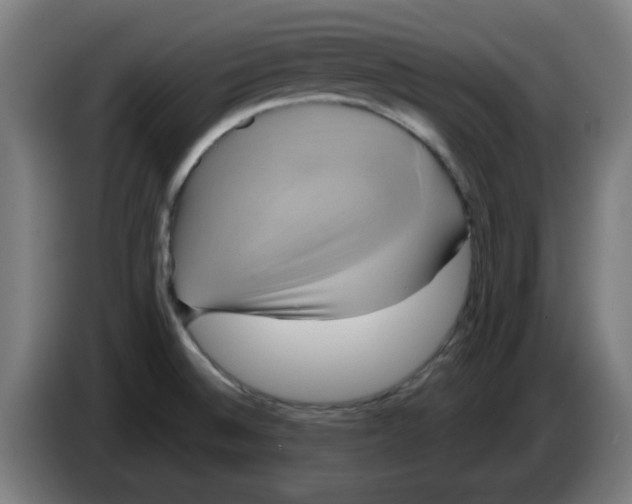 X0000086221524200704261826